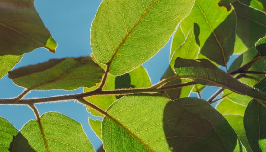 Baromètre RSE 2016 | L'entreprise responsable : ce sont les salarié.e.s qui en parlent le mieux !