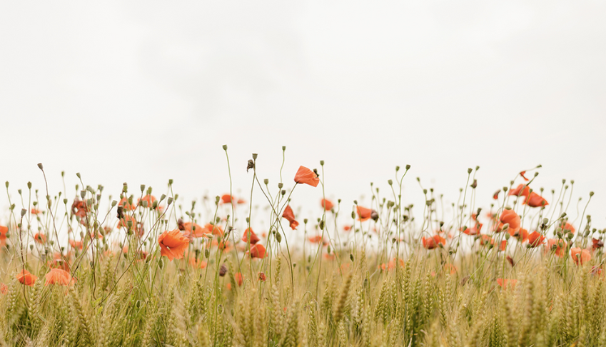 Protéger les ressources c’est assurer la pérennité de son activité
