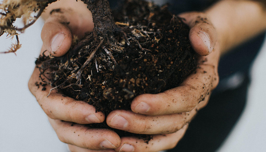pourquoi-intégrer-lagriculture-urbaine-dans-votre-stratégie