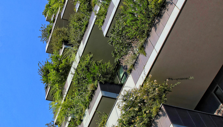 biophilie-et-impacts-de-la-nature-en-entreprise