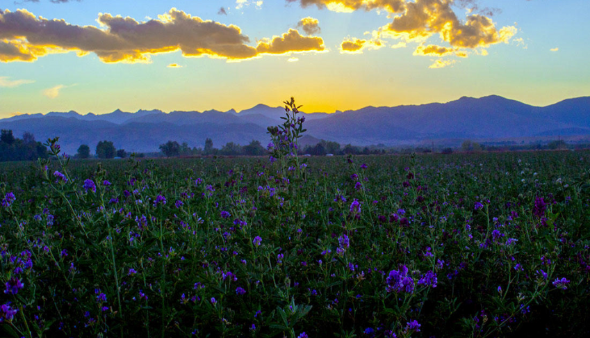comment-sensibiliser-les-salariés-aux-enjeux-liés-à-la-biodiversité