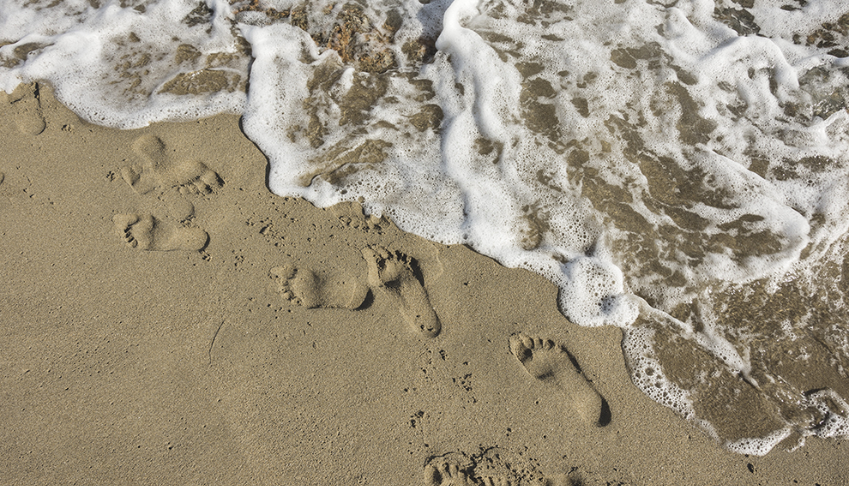 comment-reduire-lempreinte-carbone-de-votre-entreprise