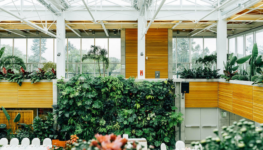 9-actions-simples-pour-ameliorer-la-biodiversite-sur-son-site