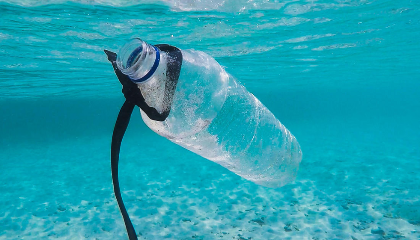 biodiversite-et-pollutions