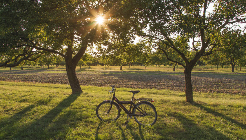 laboratoire-de-la-mobilite-inclusive