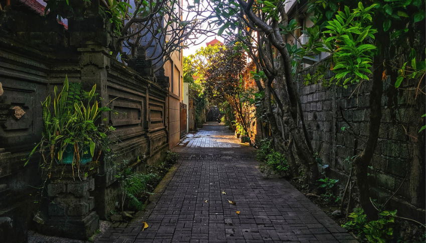 environnement-la-biodiversite-opportunite-de-valoriser-ses-espaces-non-occupes