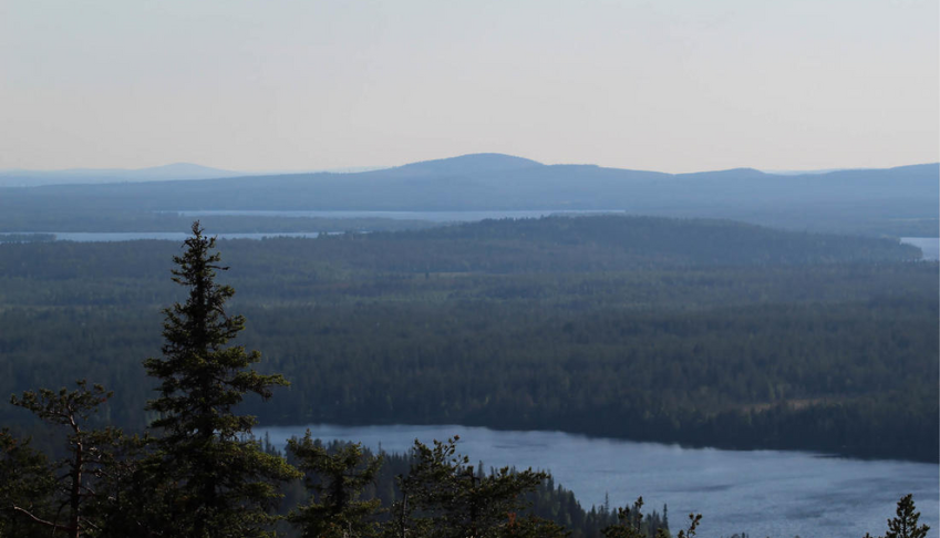 pourquoi-faut-il-avoir-une-strategie-biodiversite