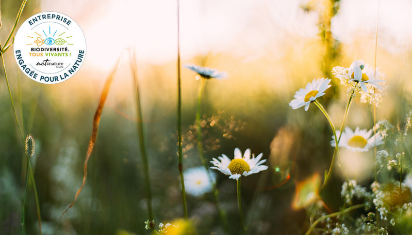 Act4nature : ekodev se mobilise pour la biodiversité