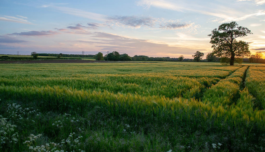 Mesure d'impacts de la solution Toopi Organics
