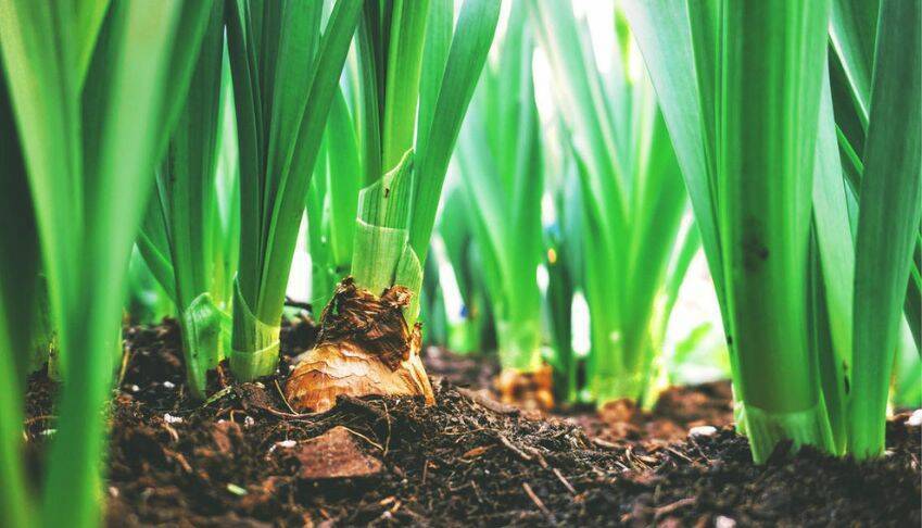 Bilan Carbone de la solution UPCYCLE