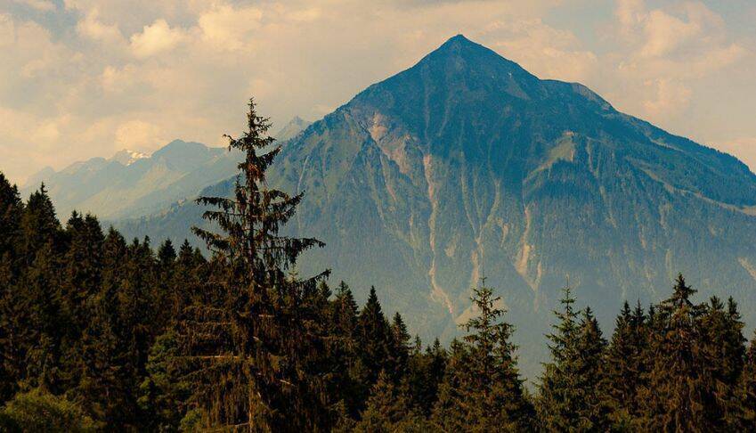 Démarches RSE du Groupe MACIF