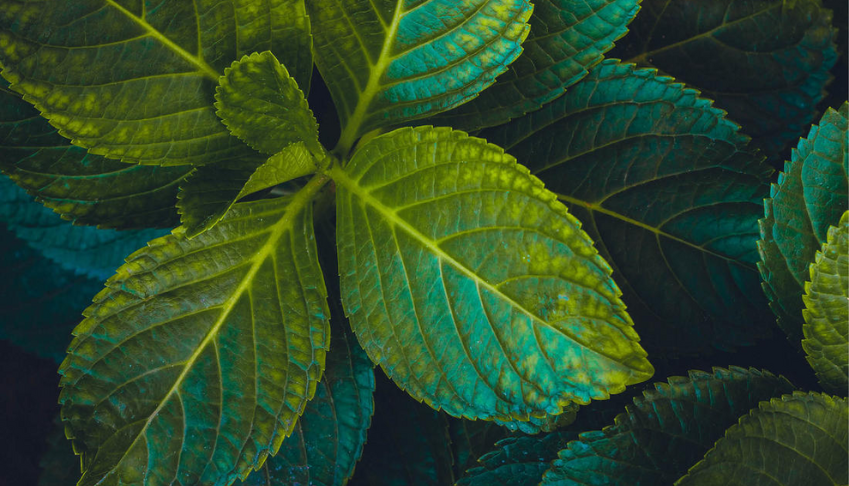 communication-developpement-durable