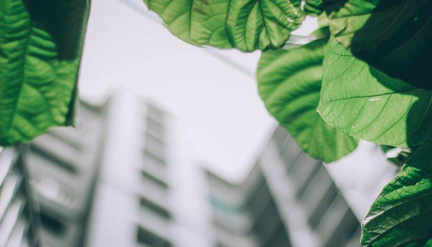 Prérogatives Environnementales du CSE