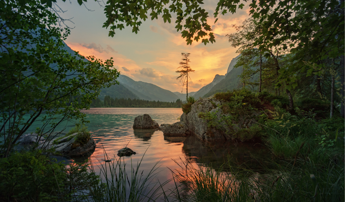 Où en est le droit de la biodiversité dans le monde, dans l'Union Européenne et en France ?