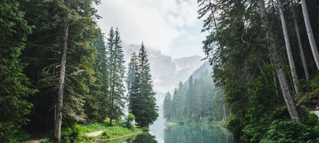 Start-up & PME : Comment organiser et financer la réduction de votre impact environnemental ?