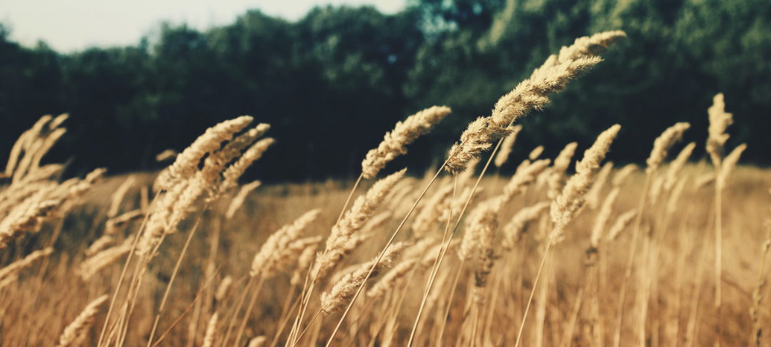 Éco-mobilité : le mécanisme des certificats d'économies d'énergie au service du changement comportemental ?