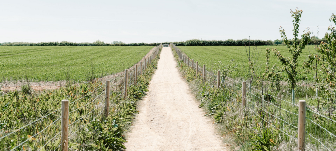 Politique vélo et employeurs : témoignages, initiatives et actions déployées