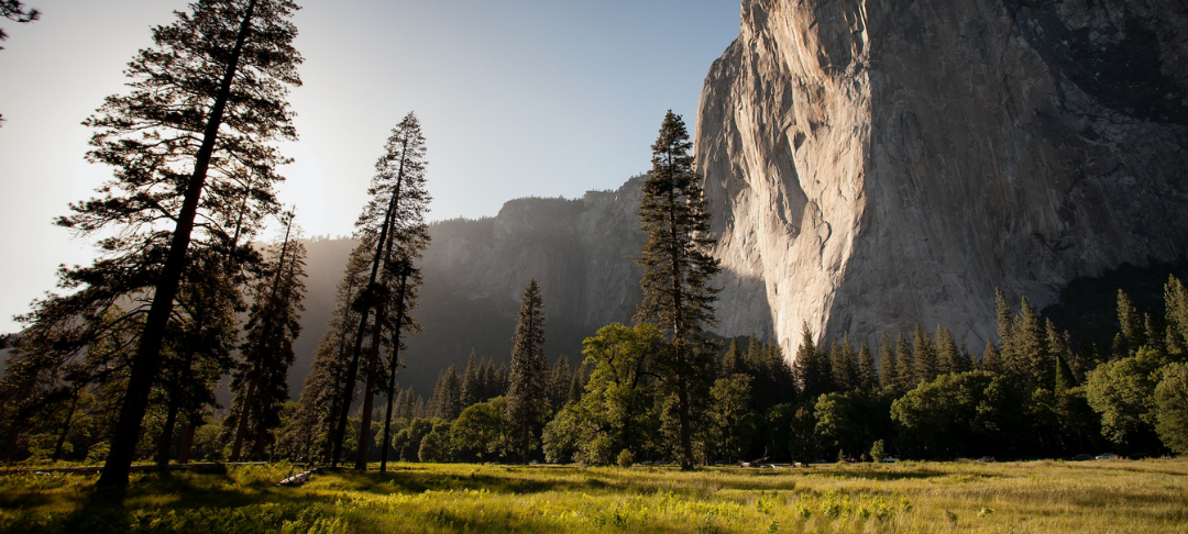 Comment piloter sa démarche en faveur de la biodiversité, et l'intégrer dans sa stratégie RSE ?
