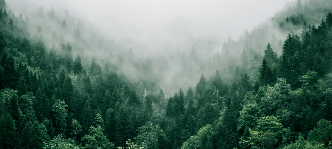 Accord mobilité durable : nouvel enjeu pour les directions des ressources humaines !