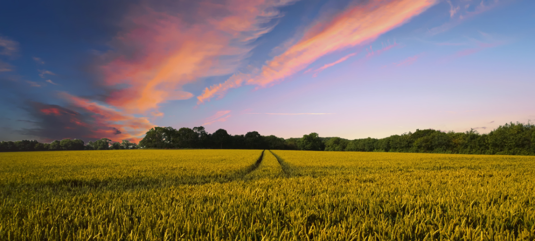 Maîtriser et réduire l'empreinte environnementale