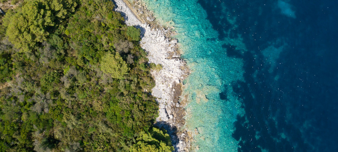 CDP, SBTi, ACT… quels outils et cadres méthodologiques pour élaborer sa stratégie Climat ?