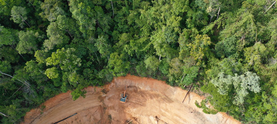 Déforestation & entreprises : comment préparer sa mise en conformité avec le RDUE ?