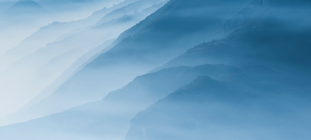 Finance carbone & nouveaux actifs environnementaux : des solutions pour contribuer à la neutralité carbone et la préservation des écosystèmes