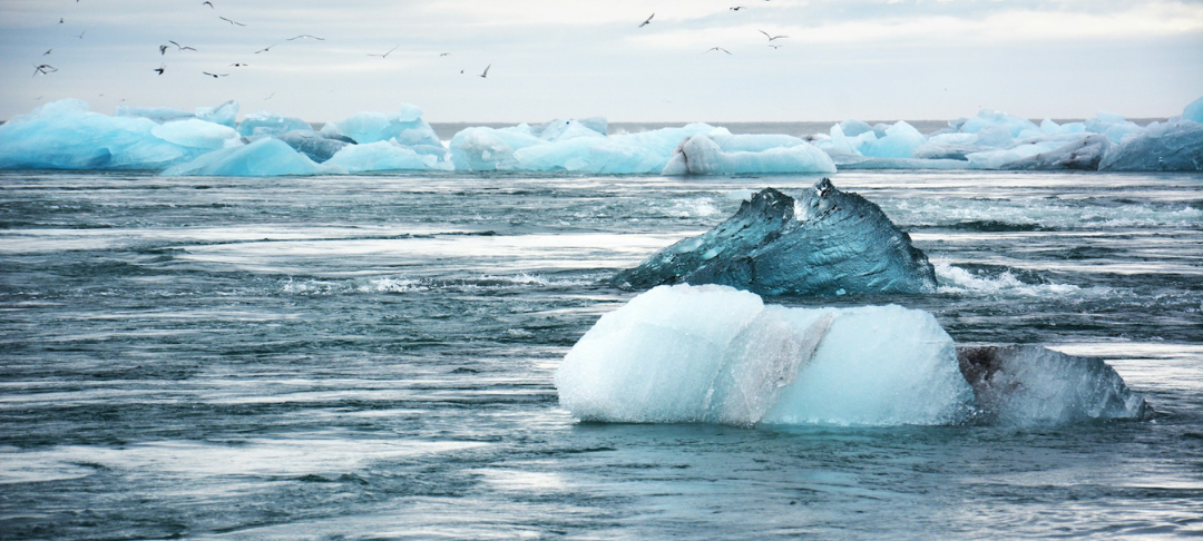 webinaire Climat & entreprise