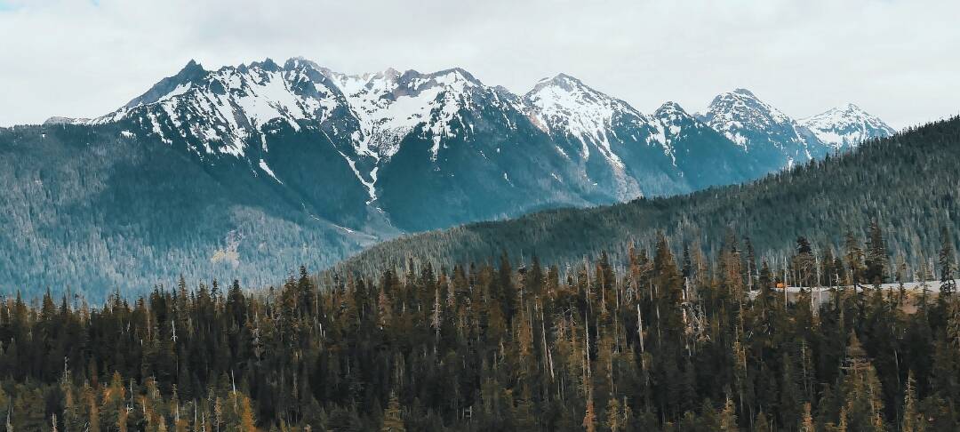 Webinaire Adaptation