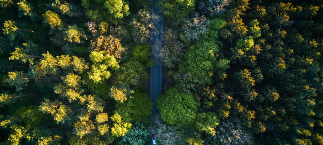 Notation EcoVadis guide pratique pour les entreprises