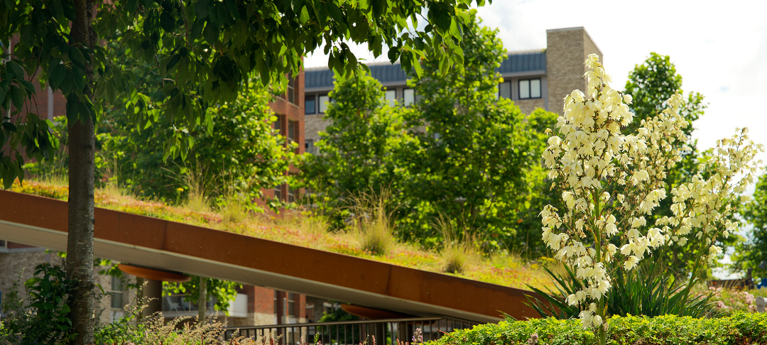 act adaptation ekodev