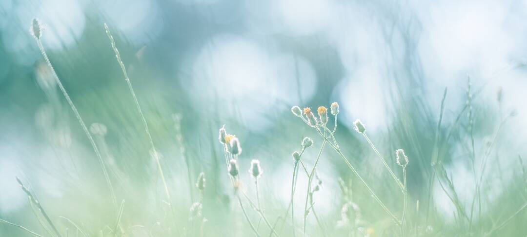 Préparation Adaptation