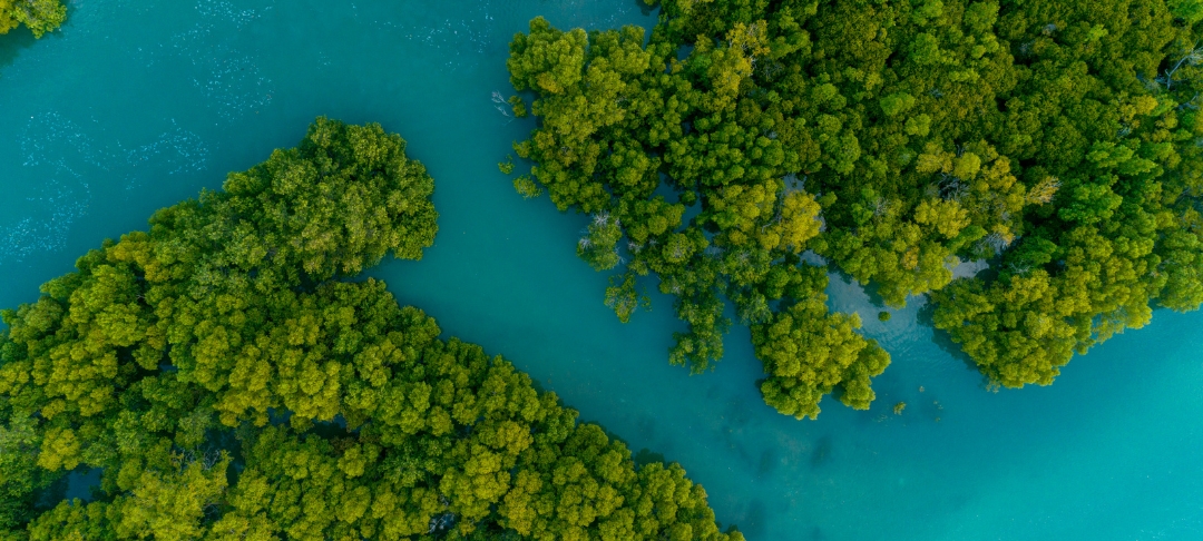 Opérations Collectives Décarbonation