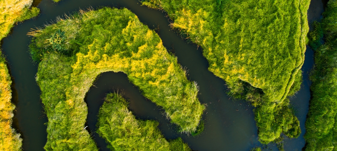Stratégie Durabilité