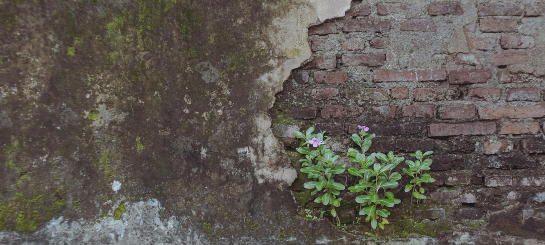 Normes ISO Adaptation