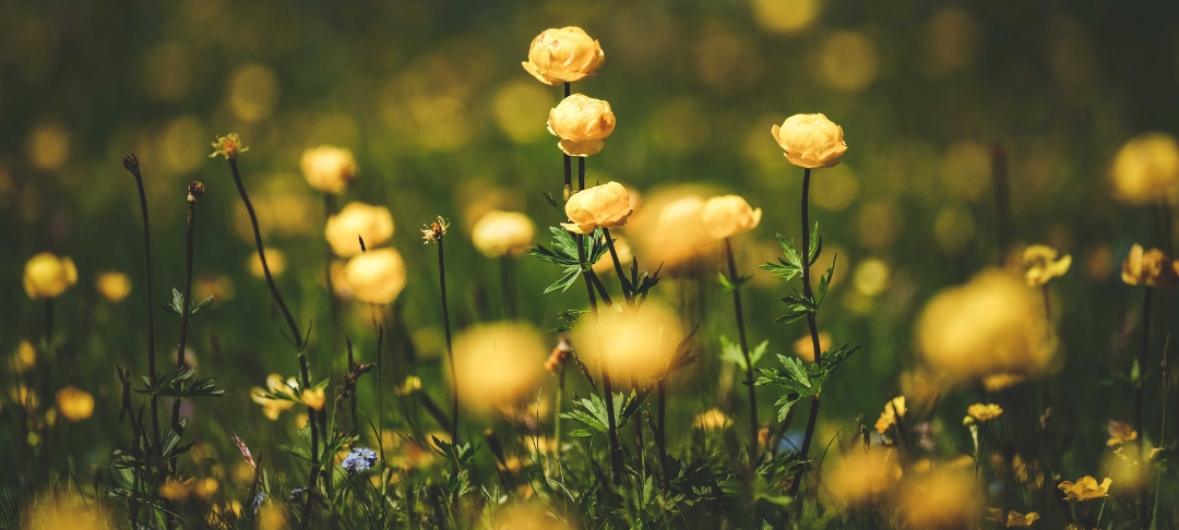 Adaptation Risques climatiques